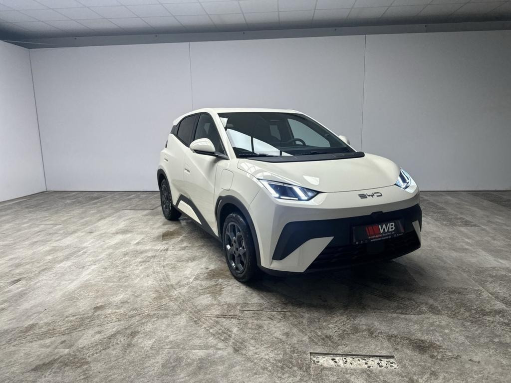 BYD Dolphin Surf