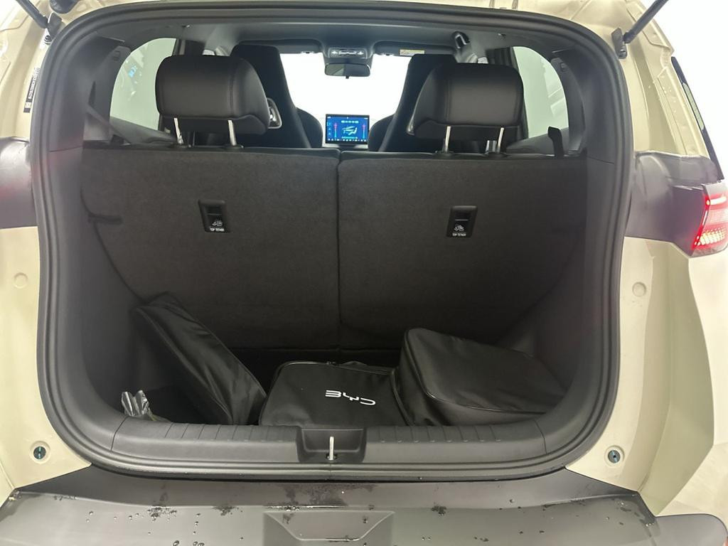 BYD Dolphin Surf