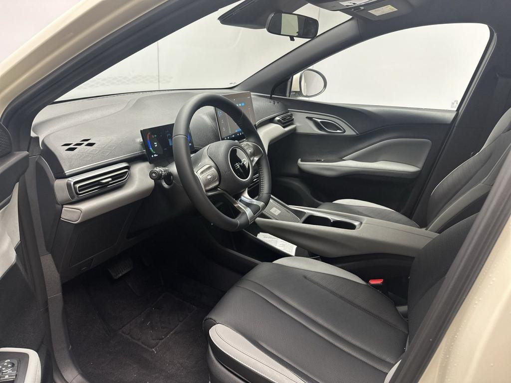 BYD Dolphin Surf