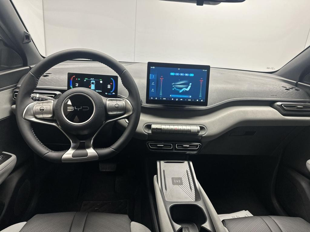 BYD Dolphin Surf