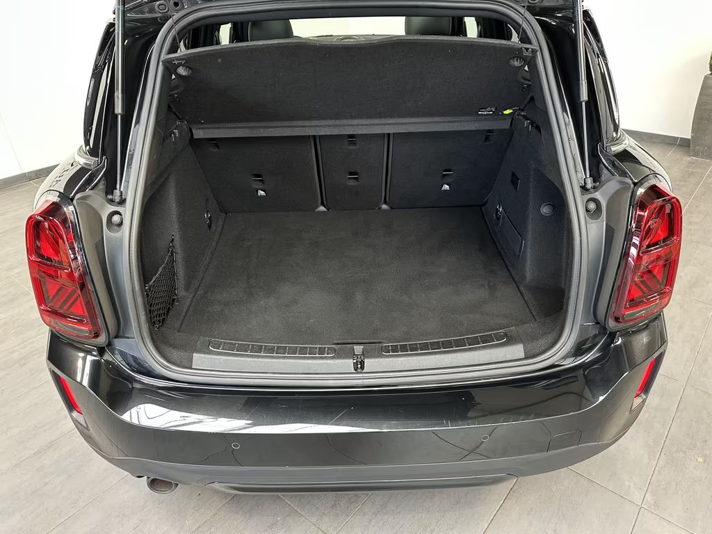 Mini Mini Electric