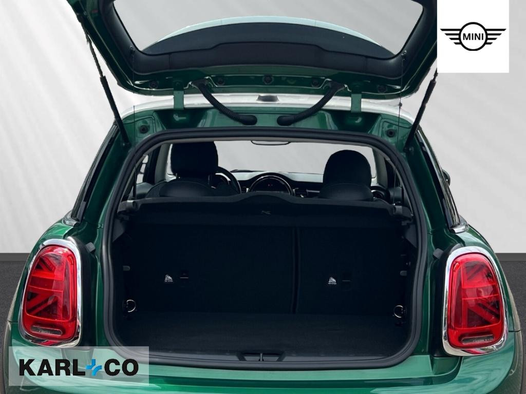 Mini Mini Electric
