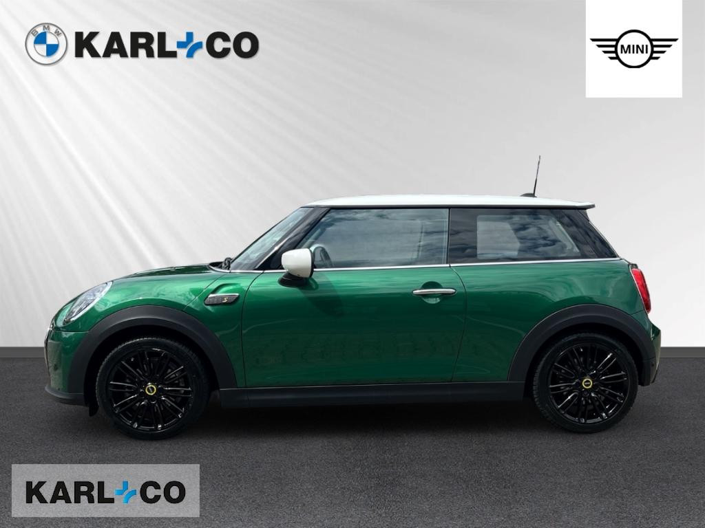 Mini Mini Electric