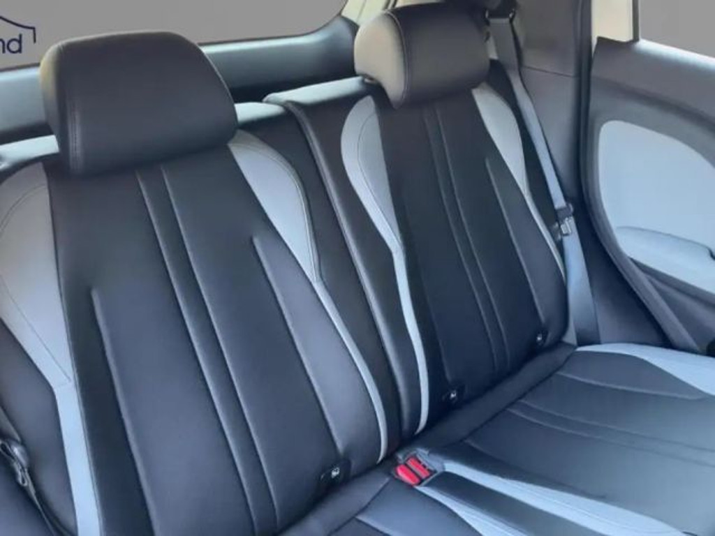 BYD Dolphin Surf
