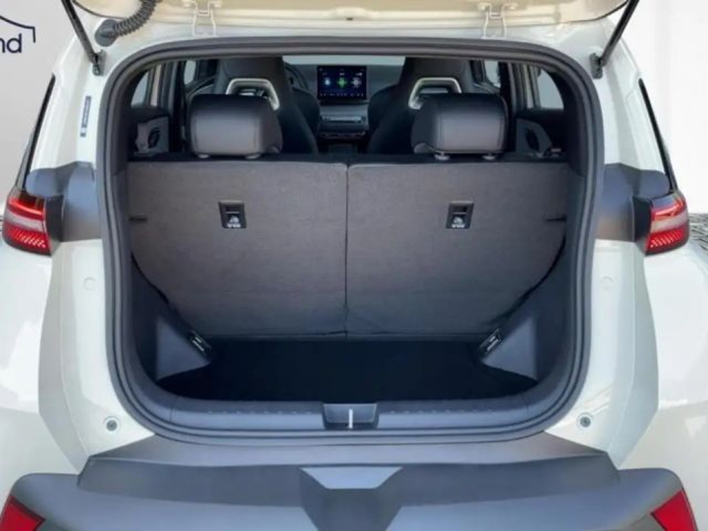 BYD Dolphin Surf