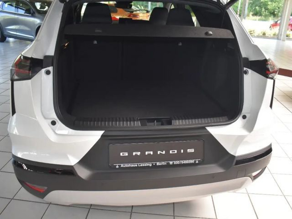 Mitsubishi Grandis