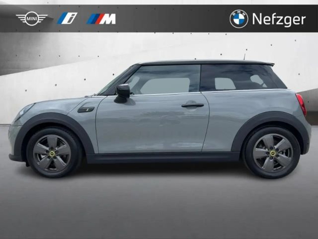 Mini Mini Electric