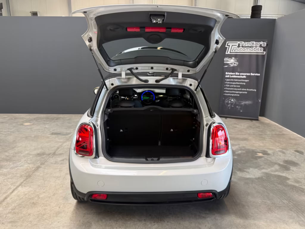 Mini Mini Electric