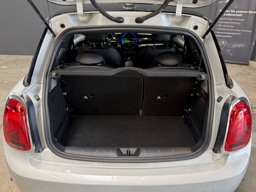 Mini Mini Electric