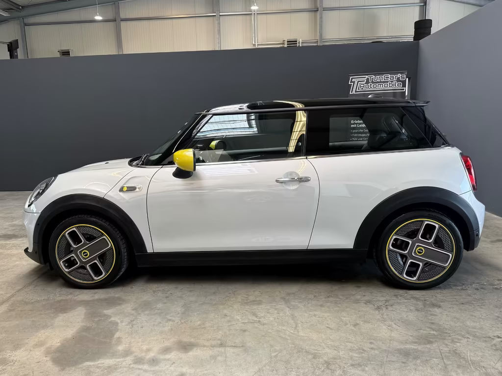 Mini Mini Electric