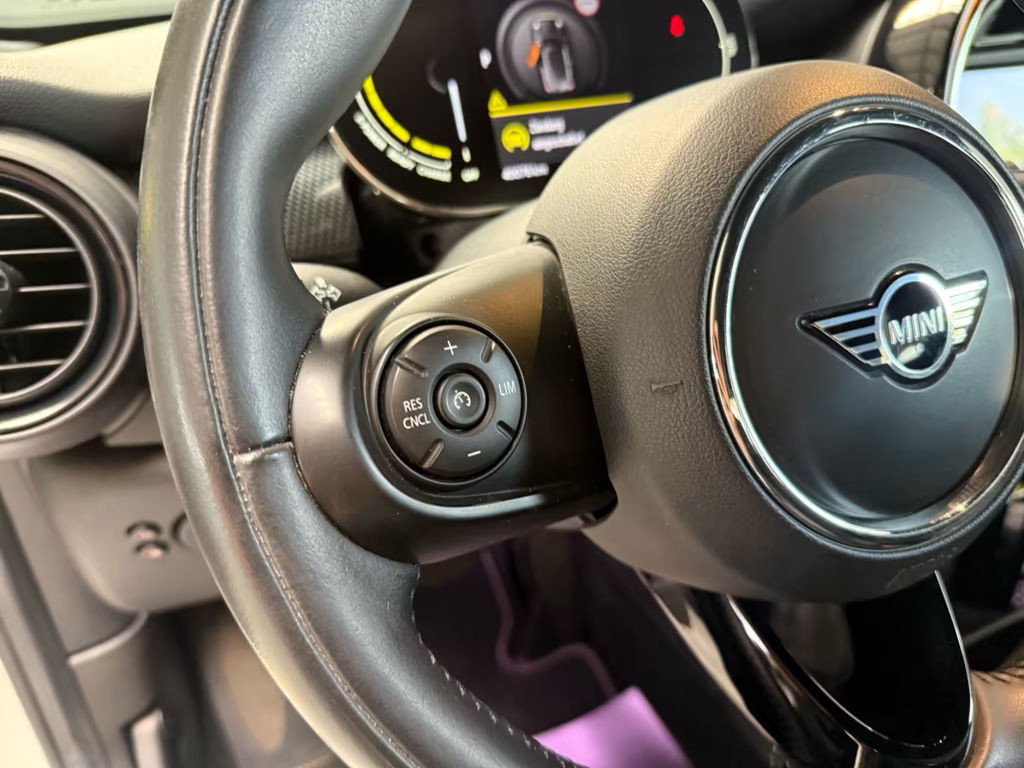 Mini Mini Electric