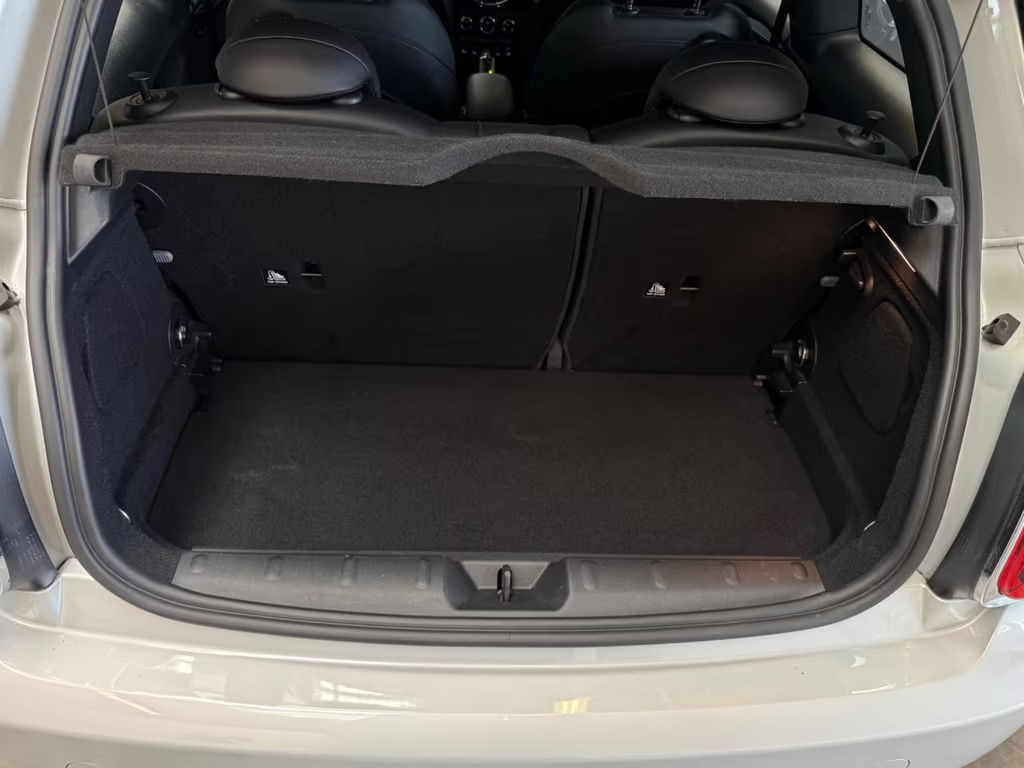 Mini Mini Electric