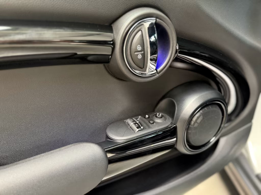 Mini Mini Electric