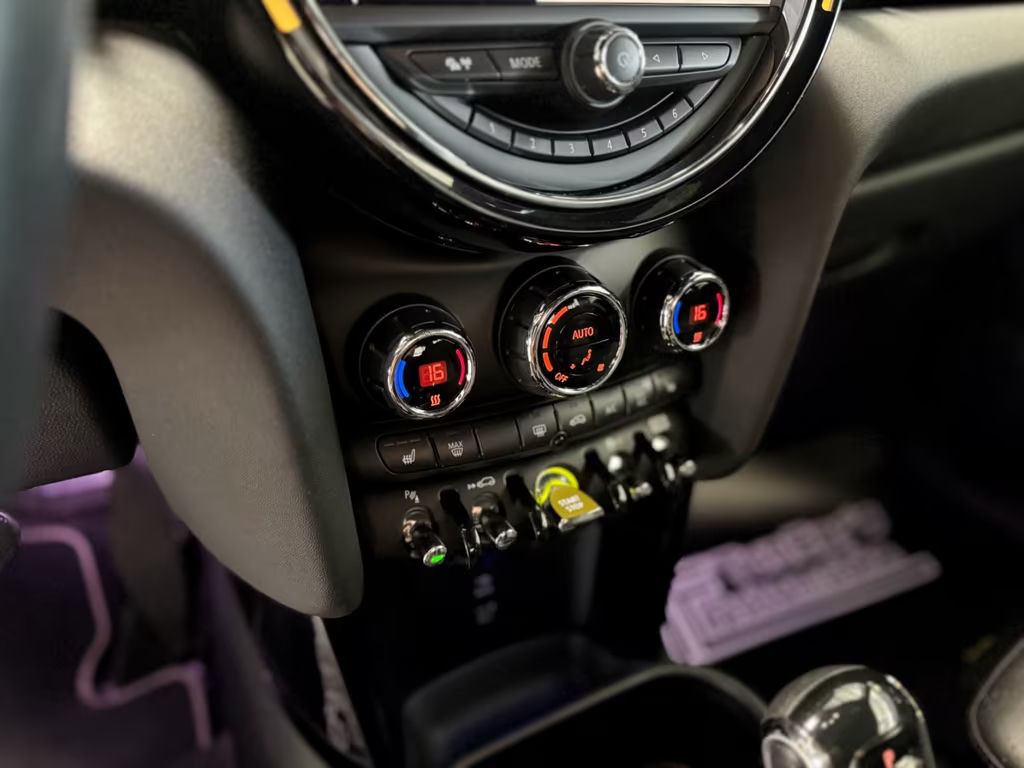 Mini Mini Electric