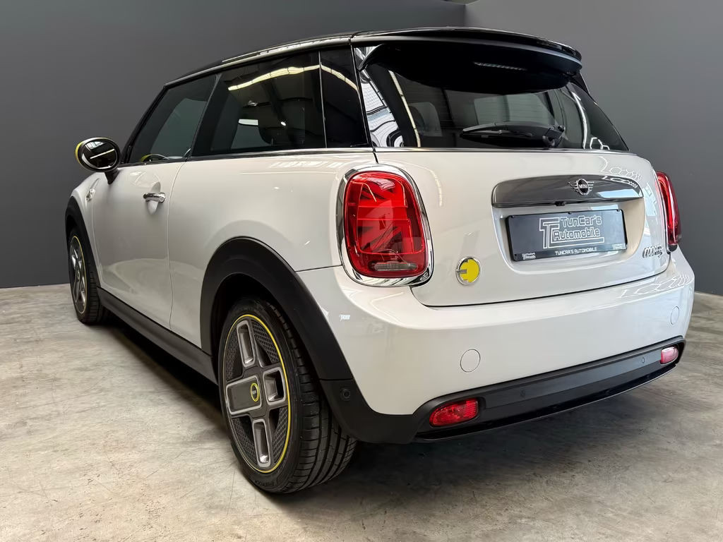Mini Mini Electric