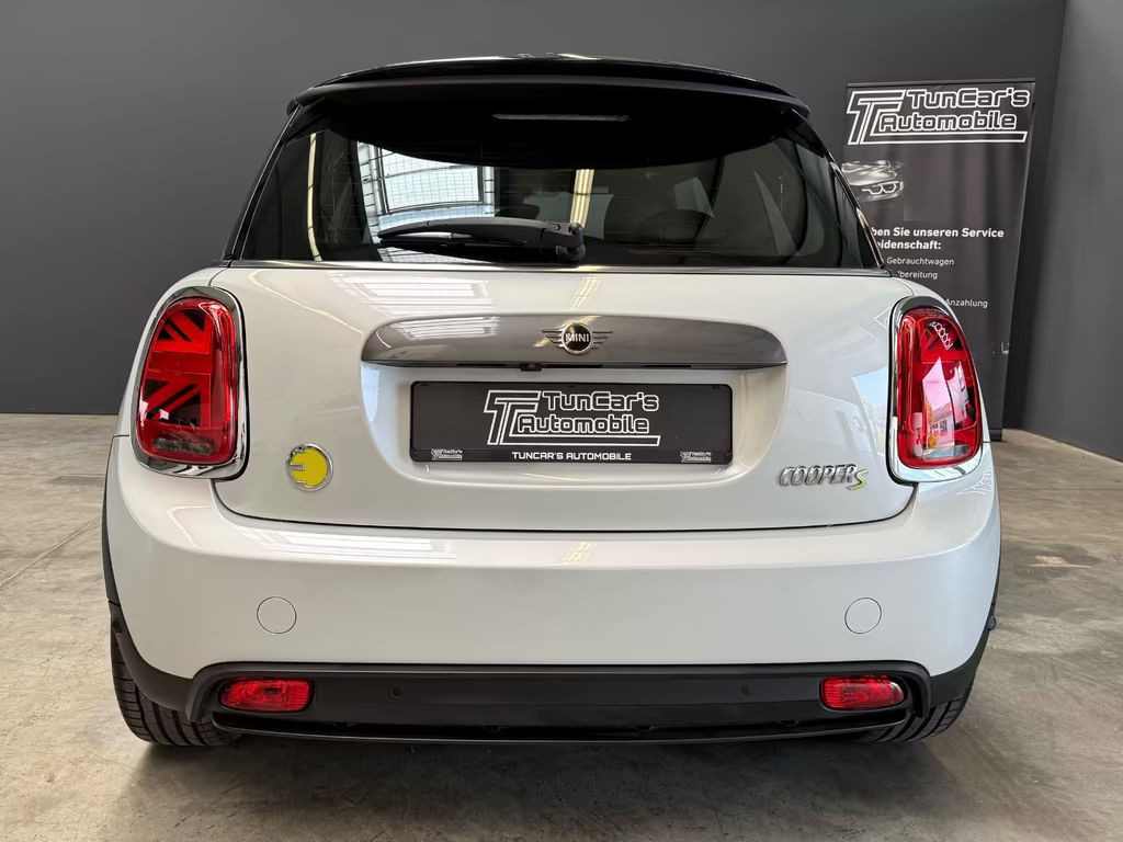 Mini Mini Electric