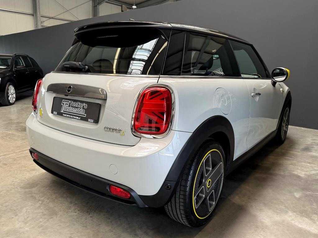 Mini Mini Electric