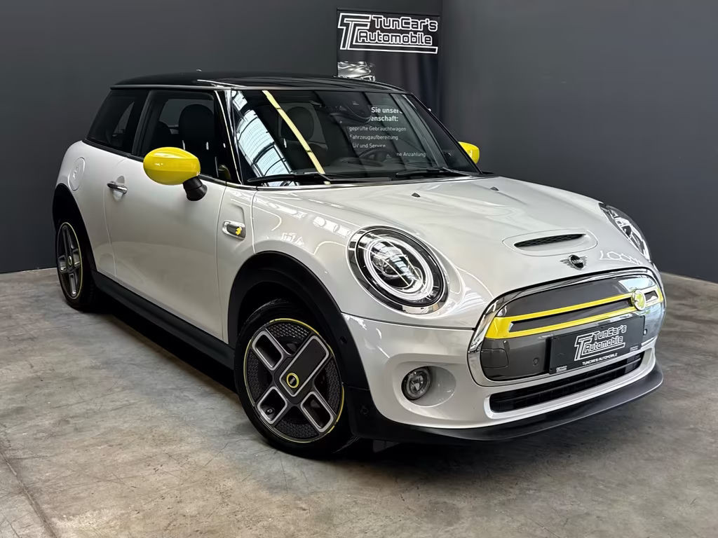 Mini Mini Electric