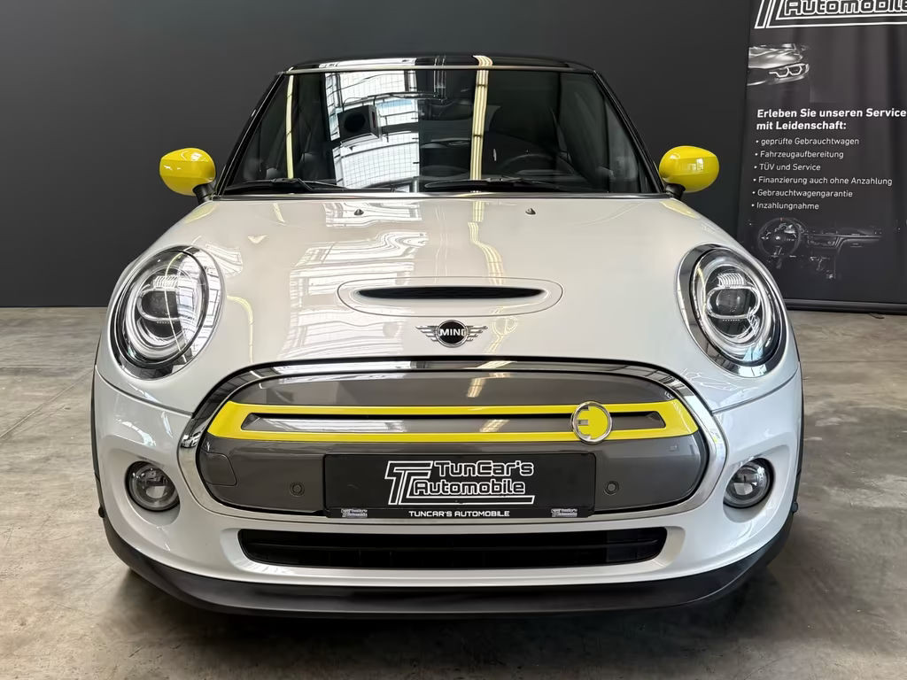 Mini Mini Electric