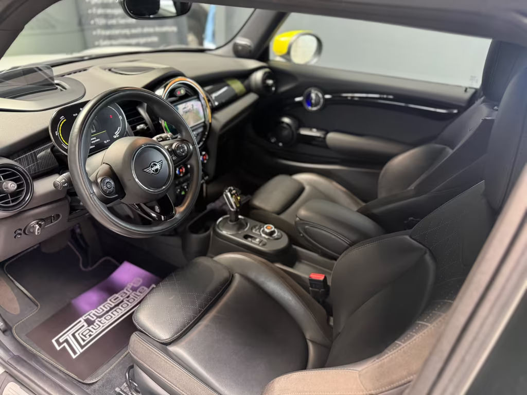 Mini Mini Electric