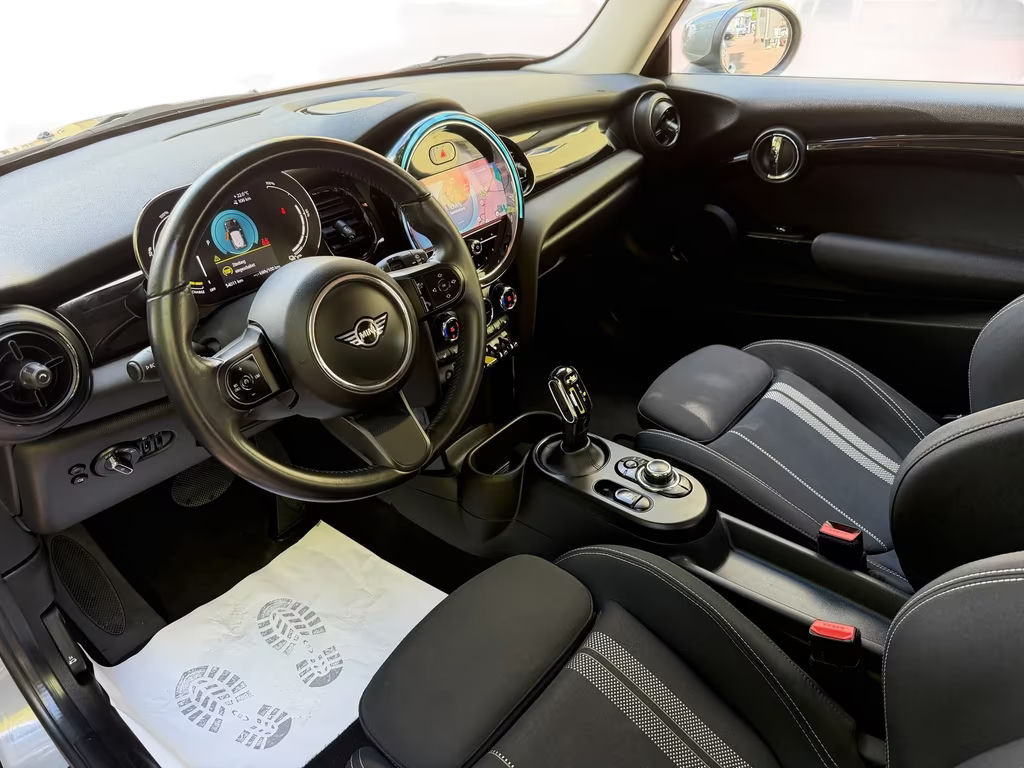 Mini Mini Electric