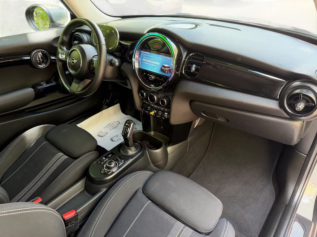 Mini Mini Electric