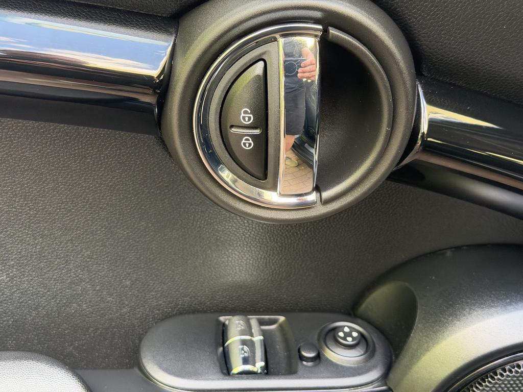 Mini Mini Electric