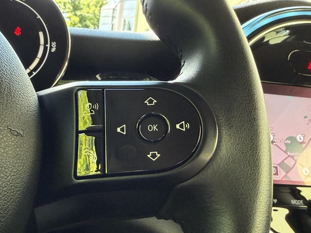 Mini Mini Electric