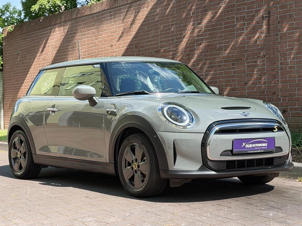 Mini Mini Electric