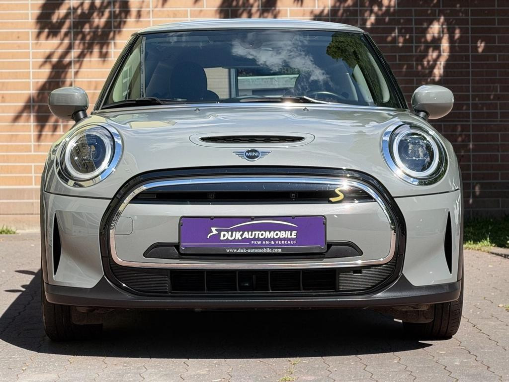 Mini Mini Electric