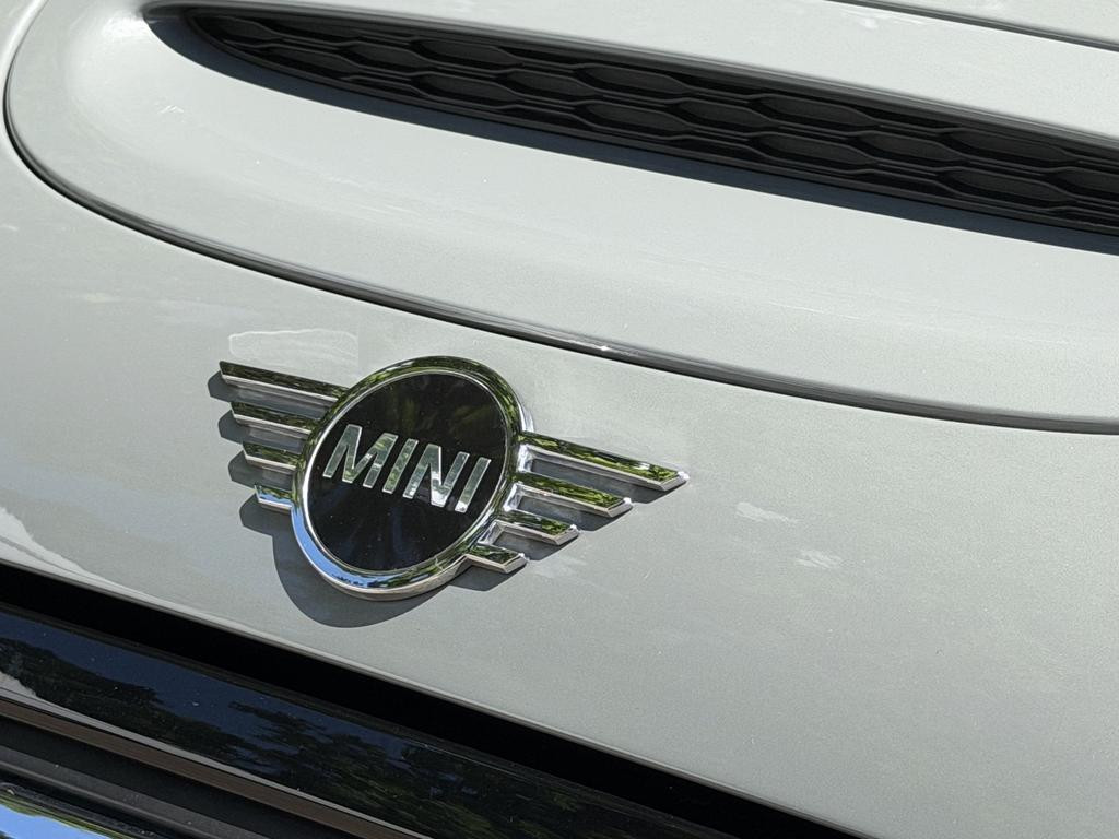 Mini Mini Electric