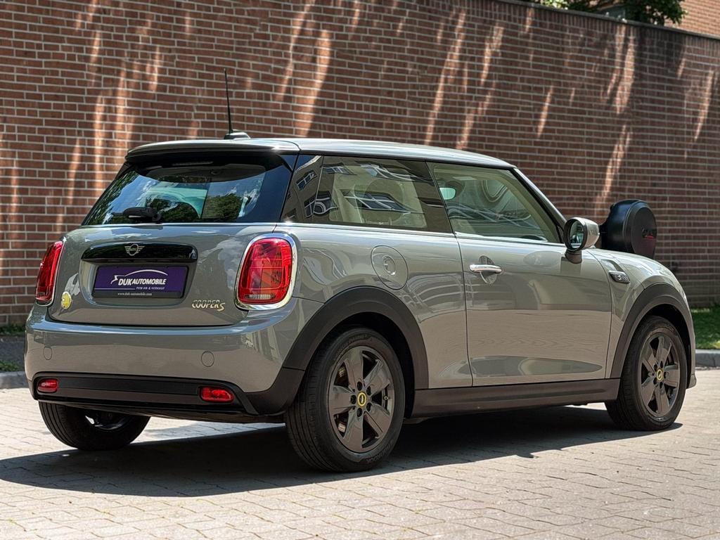 Mini Mini Electric