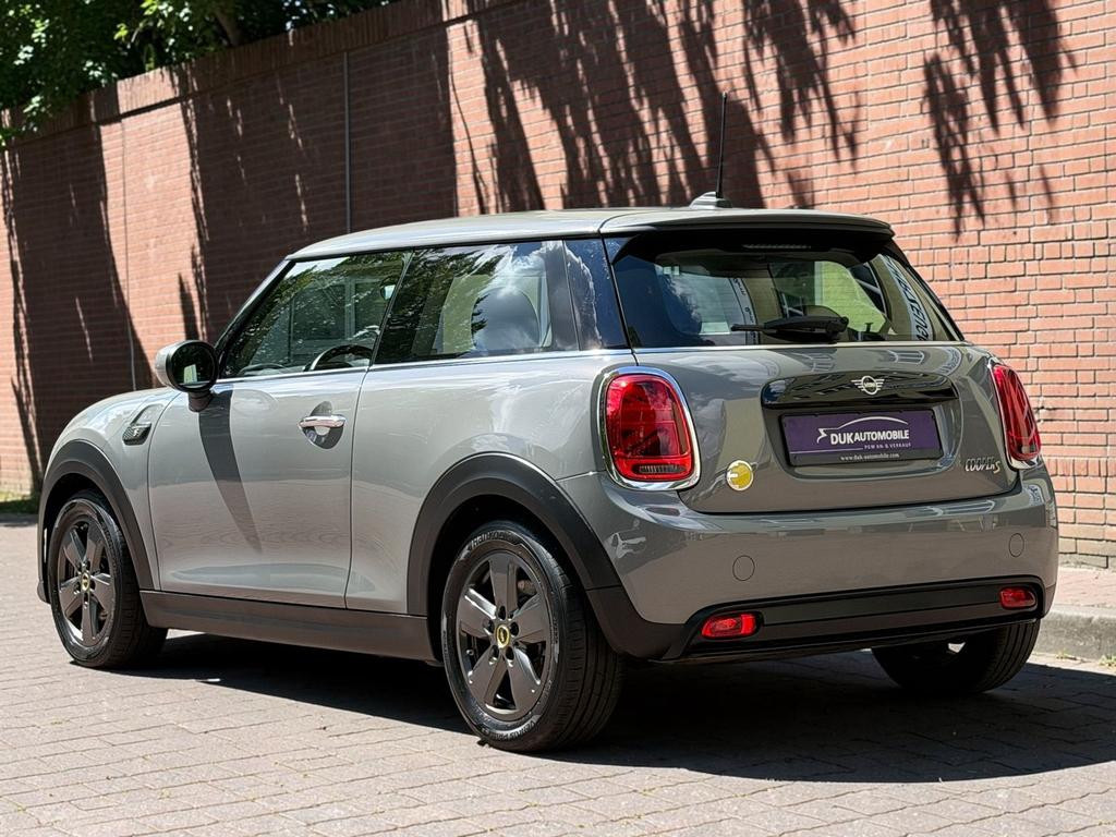 Mini Mini Electric