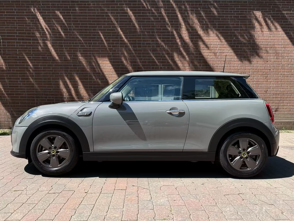 Mini Mini Electric