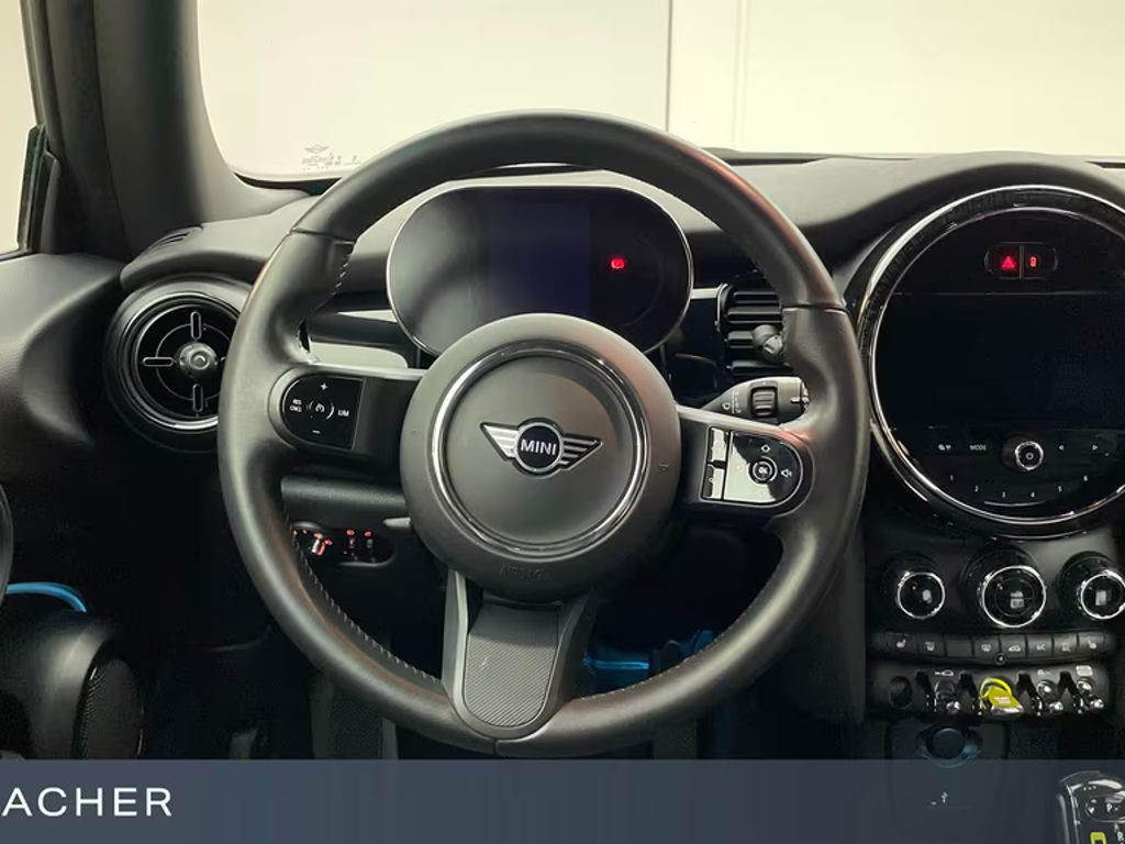 Mini Mini Electric