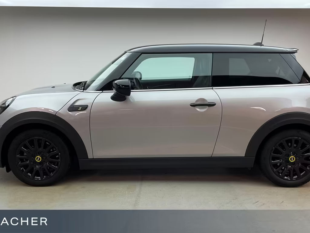 Mini Mini Electric