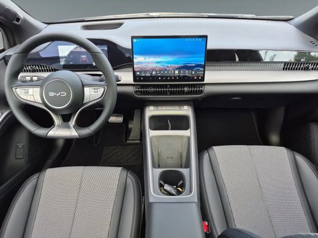 BYD Dolphin G
