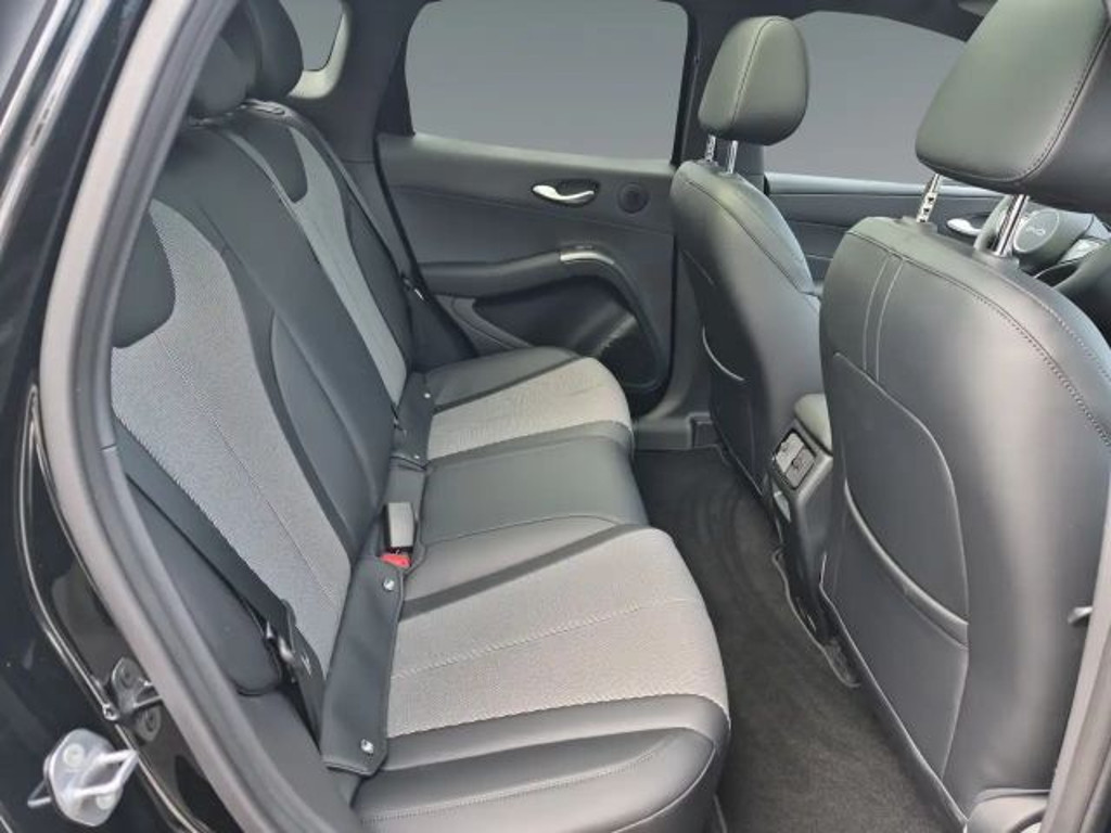 BYD Dolphin G