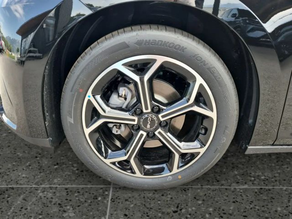 BYD Dolphin G