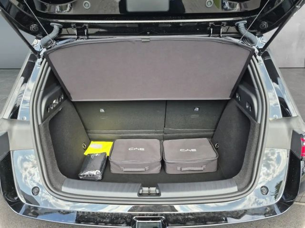 BYD Dolphin G