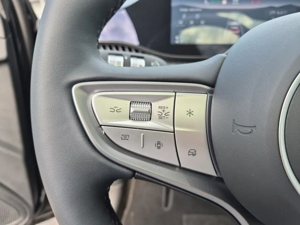 BYD Dolphin G