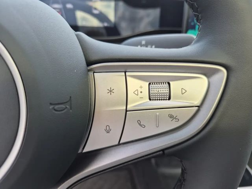 BYD Dolphin G