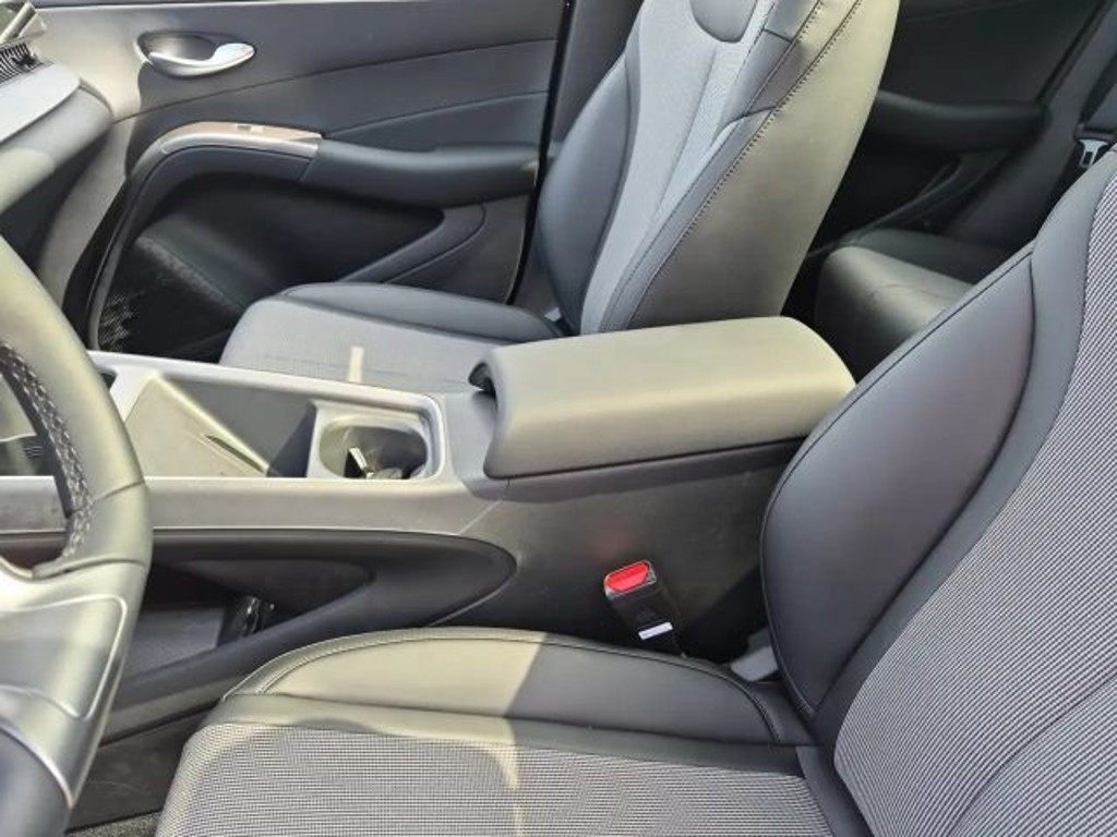 BYD Dolphin G