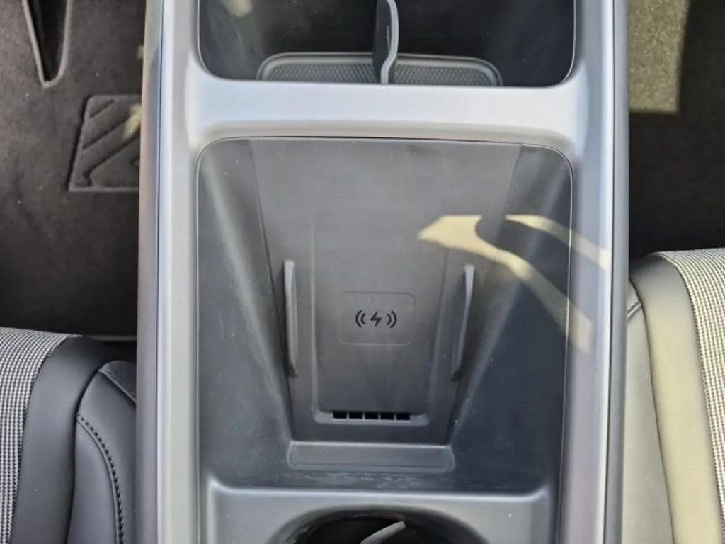 BYD Dolphin G