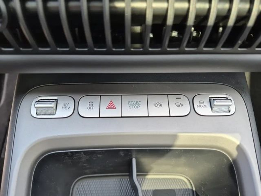 BYD Dolphin G
