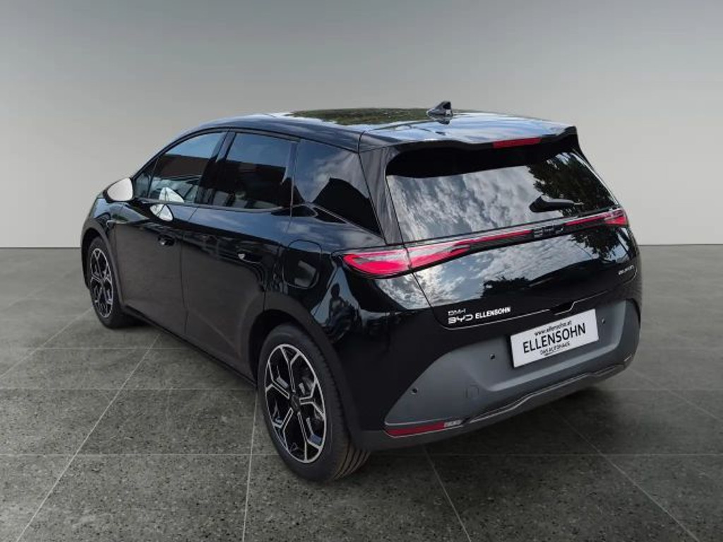 BYD Dolphin G