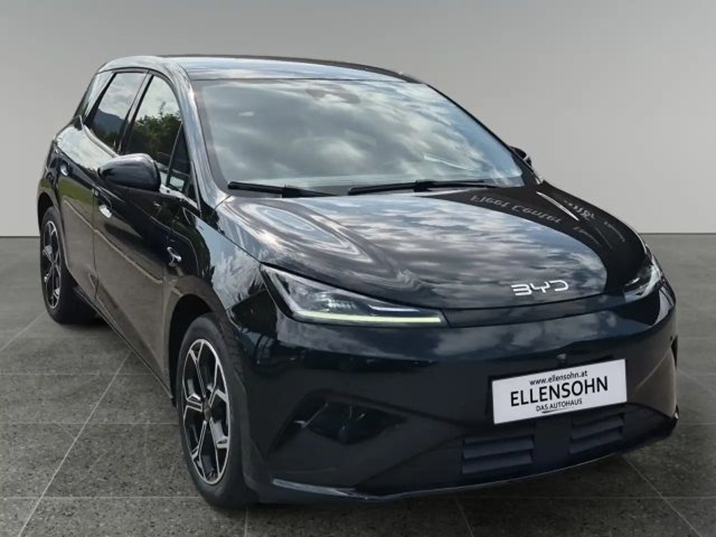 BYD Dolphin G