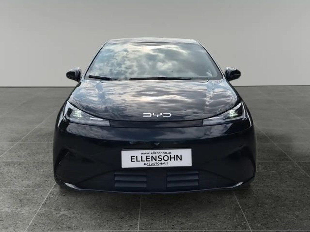 BYD Dolphin G