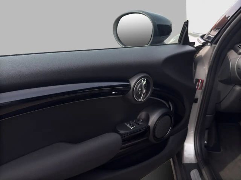 Mini Mini Electric