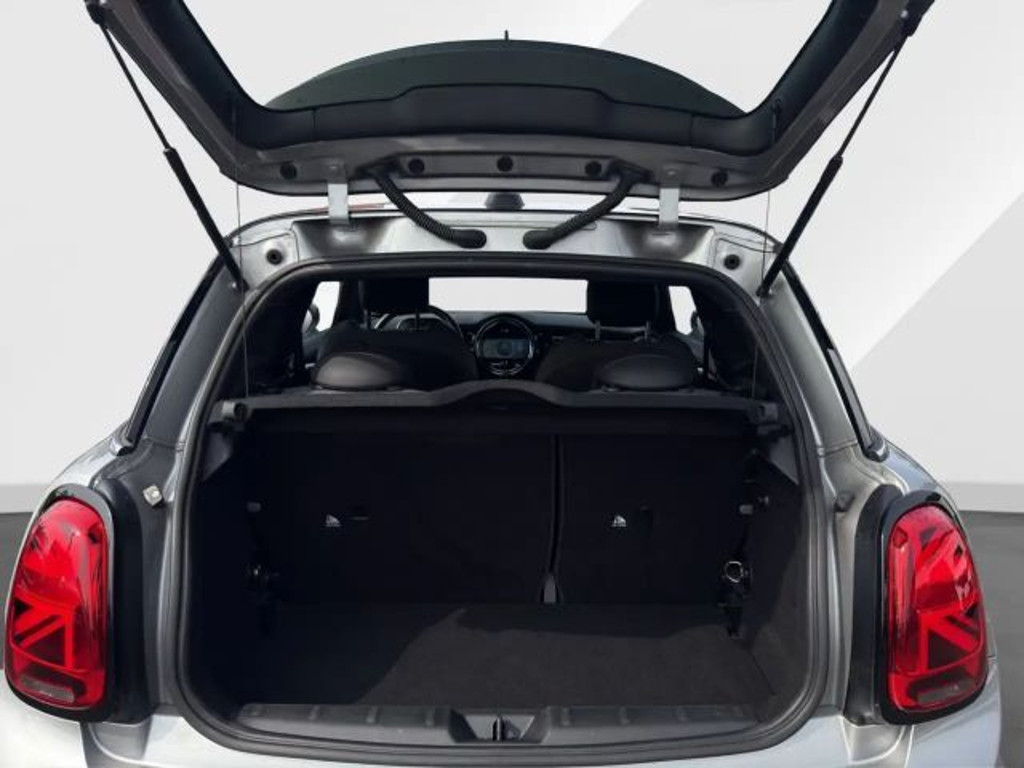 Mini Mini Electric